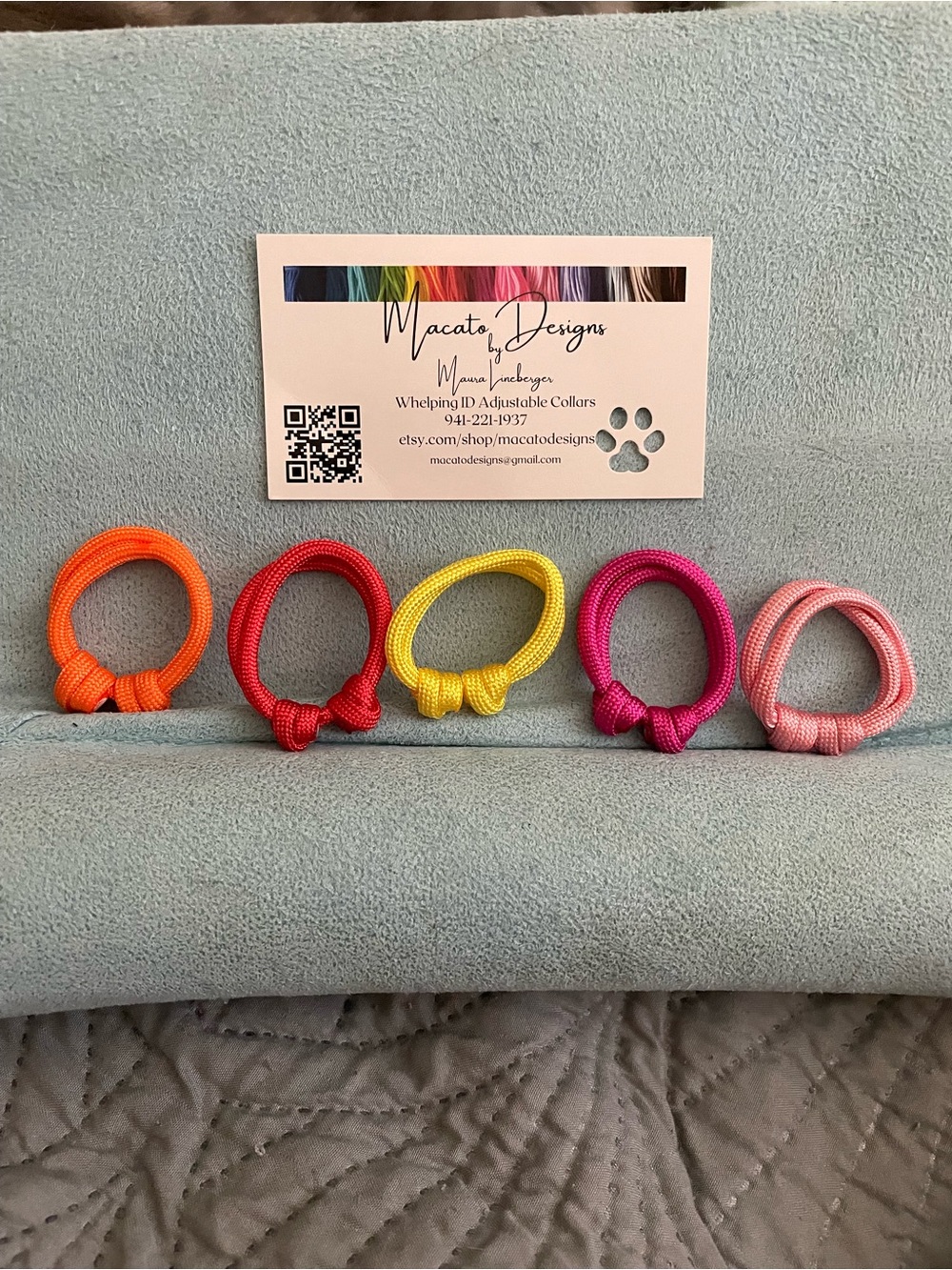 Neon puppy/kitten Collar Ring Set — Orange, Red, Yellow, Fuchsia, Light Pink